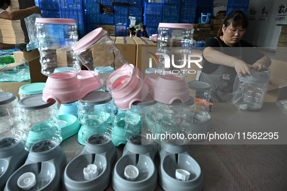 A worker assembles a pet water dispenser at a workshop in Suqian, China, on September 10, 2024. 