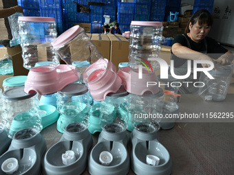 A worker assembles a pet water dispenser at a workshop in Suqian, China, on September 10, 2024. (