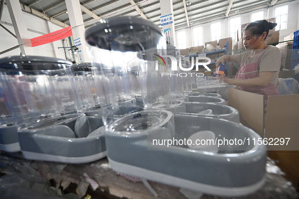 A worker assembles a pet water dispenser at a workshop in Suqian, China, on September 10, 2024. 