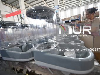 A worker assembles a pet water dispenser at a workshop in Suqian, China, on September 10, 2024. (