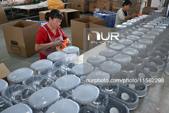 A worker assembles a pet water dispenser at a workshop in Suqian, China, on September 10, 2024. 