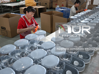 A worker assembles a pet water dispenser at a workshop in Suqian, China, on September 10, 2024. (