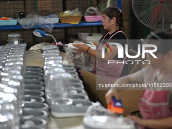 A worker assembles a pet water dispenser at a workshop in Suqian, China, on September 10, 2024. (