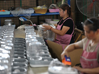 A worker assembles a pet water dispenser at a workshop in Suqian, China, on September 10, 2024. (