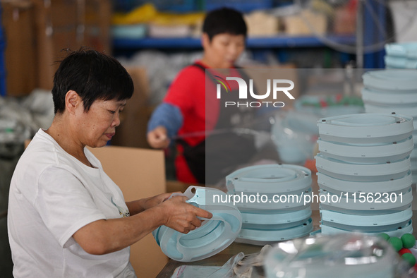 Workers assemble pet cat toys at a workshop in Suqian, Jiangsu province, China, on September 10, 2024. 