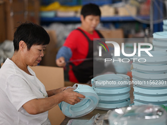 Workers assemble pet cat toys at a workshop in Suqian, Jiangsu province, China, on September 10, 2024. (