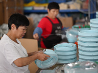 Workers assemble pet cat toys at a workshop in Suqian, Jiangsu province, China, on September 10, 2024. (