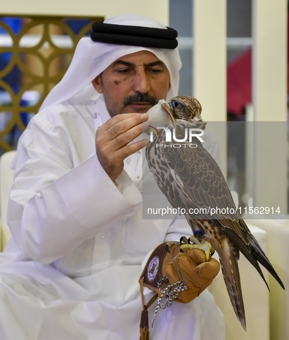 A Qatari exhibitor shows a falcon during the 8th edition of the Katara International Hunting and Falcons Exhibition 2024 (S'hail) at Katara...