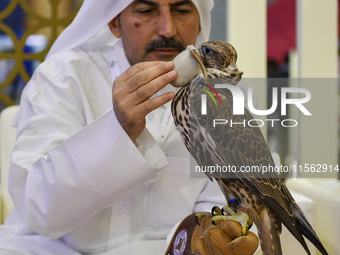 A Qatari exhibitor shows a falcon during the 8th edition of the Katara International Hunting and Falcons Exhibition 2024 (S'hail) at Katara...