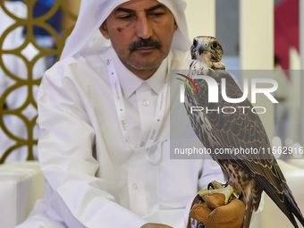 A Qatari exhibitor shows a falcon during the 8th edition of the Katara International Hunting and Falcons Exhibition 2024 (S'hail) at Katara...