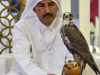 A Qatari exhibitor shows a falcon during the 8th edition of the Katara International Hunting and Falcons Exhibition 2024 (S'hail) at Katara...