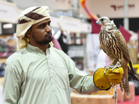 An exhibitor shows a falcon during the 8th edition of the Katara International Hunting and Falcons Exhibition 2024 (S'hail) at Katara Cultur...