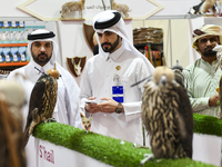 Visitors observe falcons during the 8th edition of the Katara International Hunting and Falcons Exhibition 2024 (S'hail) at Katara Cultural...