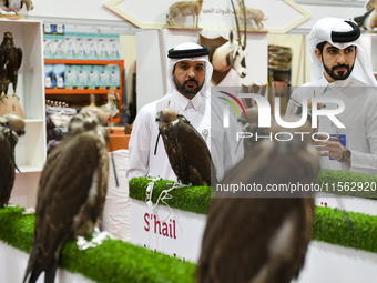 Visitors observe falcons during the 8th edition of the Katara International Hunting and Falcons Exhibition 2024 (S'hail) at Katara Cultural...