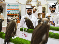 Visitors observe falcons during the 8th edition of the Katara International Hunting and Falcons Exhibition 2024 (S'hail) at Katara Cultural...