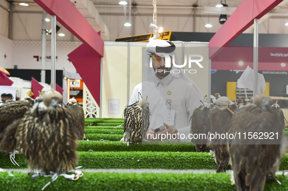 Visitors observe falcons during the 8th edition of the Katara International Hunting and Falcons Exhibition 2024 (S'hail) at Katara Cultural...