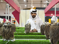 Visitors observe falcons during the 8th edition of the Katara International Hunting and Falcons Exhibition 2024 (S'hail) at Katara Cultural...