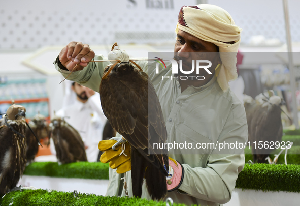 A Qatari exhibitor shows a falcon during the 8th edition of the Katara International Hunting and Falcons Exhibition 2024 (S'hail) at Katara...