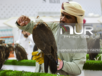 A Qatari exhibitor shows a falcon during the 8th edition of the Katara International Hunting and Falcons Exhibition 2024 (S'hail) at Katara...