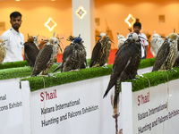 Falcons are on display during the 8th edition of the Katara International Hunting and Falcons Exhibition 2024 (S'hail) at Katara Cultural Vi...