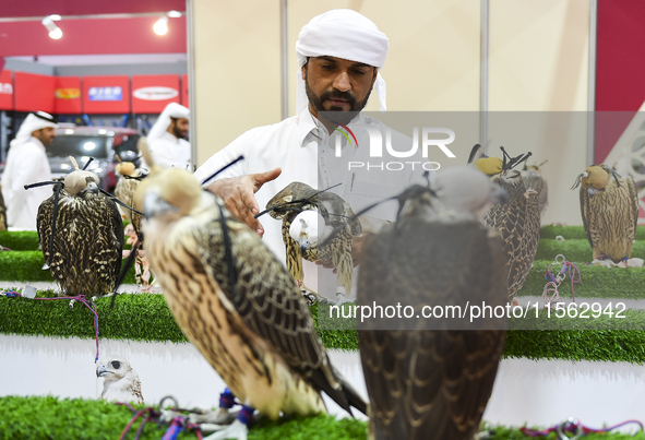 Visitors observe falcons during the 8th edition of the Katara International Hunting and Falcons Exhibition 2024 (S'hail) at Katara Cultural...