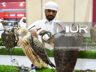 Visitors observe falcons during the 8th edition of the Katara International Hunting and Falcons Exhibition 2024 (S'hail) at Katara Cultural...