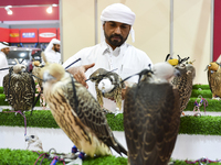 Visitors observe falcons during the 8th edition of the Katara International Hunting and Falcons Exhibition 2024 (S'hail) at Katara Cultural...