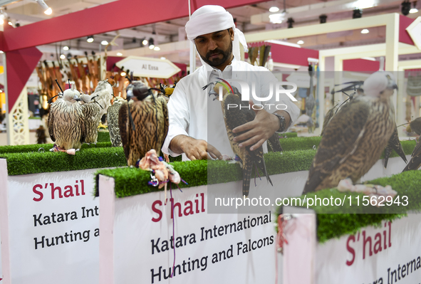 Visitors observe falcons during the 8th edition of the Katara International Hunting and Falcons Exhibition 2024 (S'hail) at Katara Cultural...