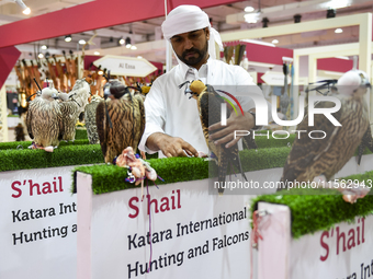 Visitors observe falcons during the 8th edition of the Katara International Hunting and Falcons Exhibition 2024 (S'hail) at Katara Cultural...