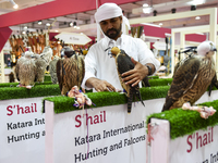 Visitors observe falcons during the 8th edition of the Katara International Hunting and Falcons Exhibition 2024 (S'hail) at Katara Cultural...