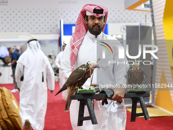 A Qatari exhibitor carries falcons during the 8th edition of the Katara International Hunting and Falcons Exhibition 2024 (S'hail) at Katara...