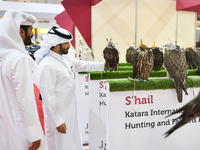 Qatari visitors observe falcons during the 8th edition of the Katara International Hunting and Falcons Exhibition 2024 (S'hail) at Katara Cu...