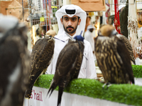 Qatari visitors observe falcons during the 8th edition of the Katara International Hunting and Falcons Exhibition 2024 (S'hail) at Katara Cu...