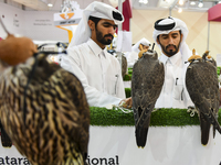 Qatari visitors observe falcons during the 8th edition of the Katara International Hunting and Falcons Exhibition 2024 (S'hail) at Katara Cu...