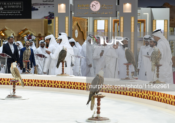 Qatari visitors observe falcons during the 8th edition of the Katara International Hunting and Falcons Exhibition 2024 (S'hail) at Katara Cu...