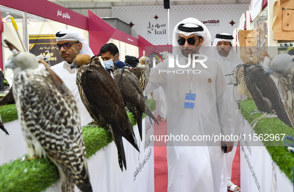 Qatari visitors observe falcons during the 8th edition of the Katara International Hunting and Falcons Exhibition 2024 (S'hail) at Katara Cu...