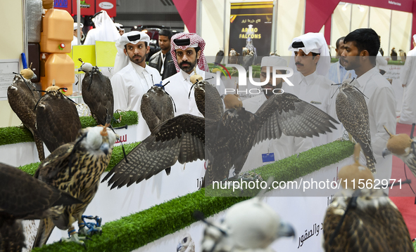 Qatari visitors observe falcons during the 8th edition of the Katara International Hunting and Falcons Exhibition 2024 (S'hail) at Katara Cu...