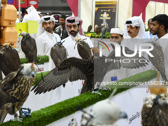 Qatari visitors observe falcons during the 8th edition of the Katara International Hunting and Falcons Exhibition 2024 (S'hail) at Katara Cu...