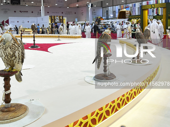 Visitors look at perched falcons while hooded during the 8th edition of the Katara International Hunting and Falcons Exhibition 2024 (S'hail...