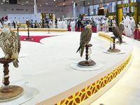 Visitors look at perched falcons while hooded during the 8th edition of the Katara International Hunting and Falcons Exhibition 2024 (S'hail...