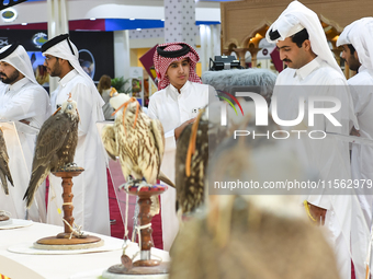 Visitors look at perched falcons while hooded during the 8th edition of the Katara International Hunting and Falcons Exhibition 2024 (S'hail...