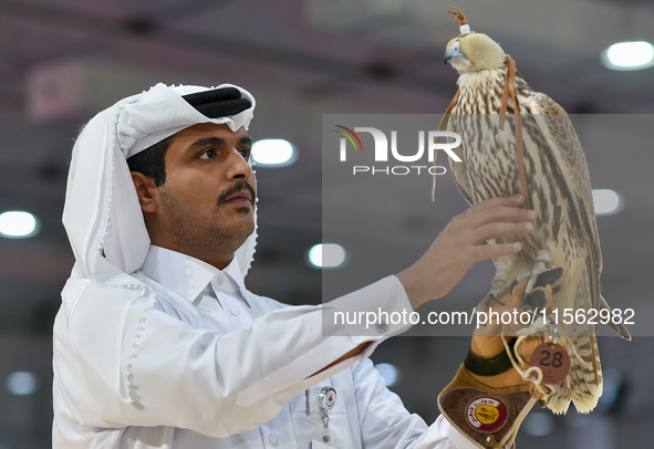 An exhibitor shows a falcon during the 8th edition of the Katara International Hunting and Falcons Exhibition 2024 (S'hail) at Katara Cultur...