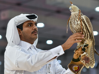 An exhibitor shows a falcon during the 8th edition of the Katara International Hunting and Falcons Exhibition 2024 (S'hail) at Katara Cultur...