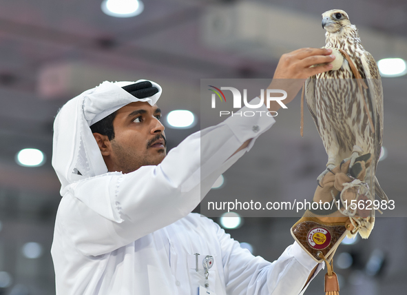 An exhibitor shows a falcon during the 8th edition of the Katara International Hunting and Falcons Exhibition 2024 (S'hail) at Katara Cultur...