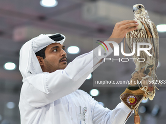 An exhibitor shows a falcon during the 8th edition of the Katara International Hunting and Falcons Exhibition 2024 (S'hail) at Katara Cultur...