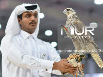 An exhibitor shows a falcon during the 8th edition of the Katara International Hunting and Falcons Exhibition 2024 (S'hail) at Katara Cultur...