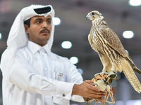 An exhibitor shows a falcon during the 8th edition of the Katara International Hunting and Falcons Exhibition 2024 (S'hail) at Katara Cultur...