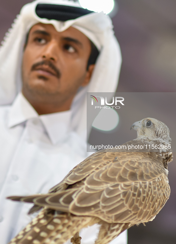 An exhibitor shows a falcon during the 8th edition of the Katara International Hunting and Falcons Exhibition 2024 (S'hail) at Katara Cultur...