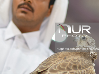 An exhibitor shows a falcon during the 8th edition of the Katara International Hunting and Falcons Exhibition 2024 (S'hail) at Katara Cultur...