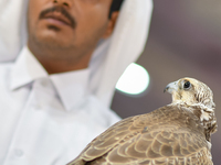 An exhibitor shows a falcon during the 8th edition of the Katara International Hunting and Falcons Exhibition 2024 (S'hail) at Katara Cultur...